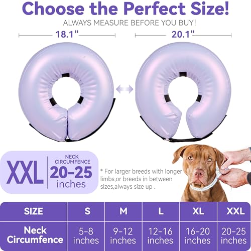 Image of Inflatable Dog Cone Collar - Donut Collar Recovery ECollar Alternative After Surgery - Soft Dog Cone for Small Medium Large Dogs