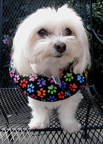 Puppy Bumpers Keep Your Dog on The Safe Side of The Fence - Rainbow Paw (10-13
