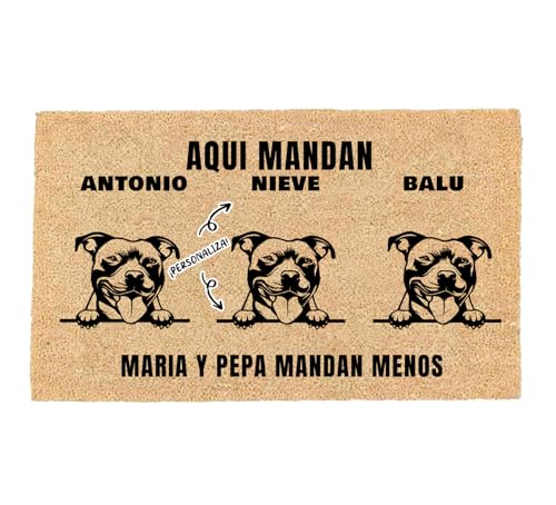 LUCA HOME - Felpudo Entrada casa Personalizados - Felpudo 3 Mascotas - Original y Divertido - Decoración hogar - Regalos Originales - Alfombra 33x60cm