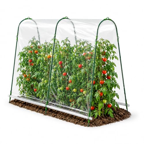 TERRE JARDIN Serre à tomates de Jardin 200x180x120 cm avec Film Plastique Haute résistance & arceaux Acier - Microclimat, Protection tomates Contre intempéries, idéale jardinière Tomate