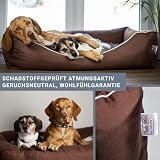 Tante Hilde Hundebett Norderney XXL (100x80x25) Schwarz – Waschbar, Robust und Gemütliches Hundebett & Hundekorb in Verschiedenen Größen – Ideal für mittelgroße Hunde z.B. Australian Shepherd, Collie