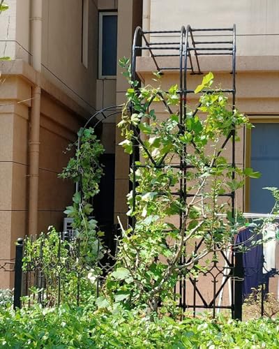 2,40 M Langer Gartenbogen Torbogen Aus Metall, Robustes, Wetterfestes Halbbogen Rosenbogen Spalier Mit Achteckigem Drehverfahren Für Kletterpflanzen Im Innen- Und Außenbereich, Party-Dekoration(Color: