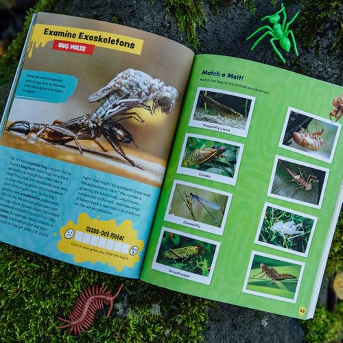 Image of The Grossest Bug Activity Book EVER!: Creep Yourself Out with Fun Facts, Mazes, Crosswords, and More