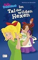 Bibi Blocksberg - Im Tal der wilden Hexen: Roman 350512737X Book Cover