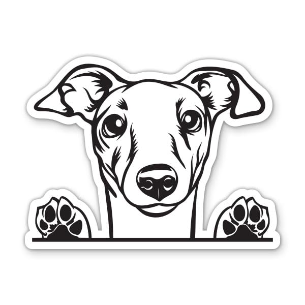 Italian Greyhound Dog Peeking Vinyl Sticker - for Water Bottle Phone Car Tumbler Laptop - Waterproof...