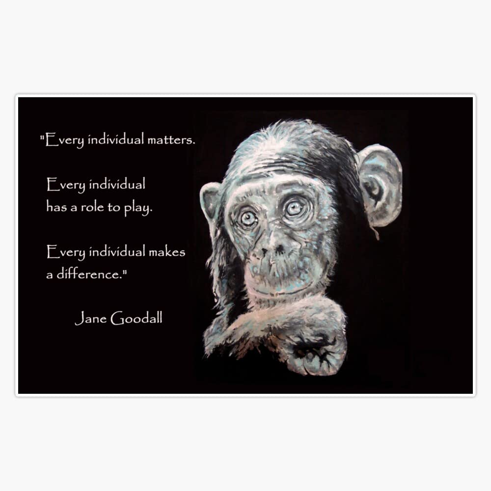 A Jane Goodall quote Vinyl Bumper Sticker Size 5"