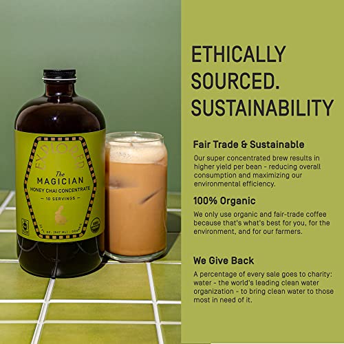 Explorer Honey Chai Tea Concentrate | Organic Spiced Masala | Instant Liquid Mix | Iced Or Hot Latte| Father's Day Gifts I 32 Oz Makes 20 Cups | 1:1 Concentrated #TOP3