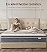 Acochey Queen Size Mattress,12 Inch Queen Mattresses in a Box,Memory Foam Hybrid Mattress with Individual Pocket Spring for Motion Isolation Pressure Relief,Medium Firm,CertiPUR-US Certified.