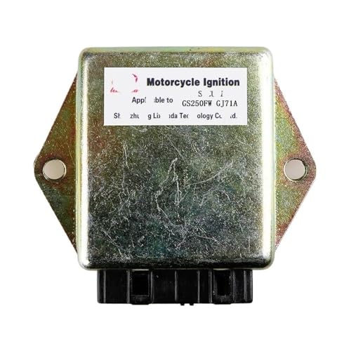 Bobine d'allumage numérique et TCI de GS250FW pour restaurer les trajets quotidiens