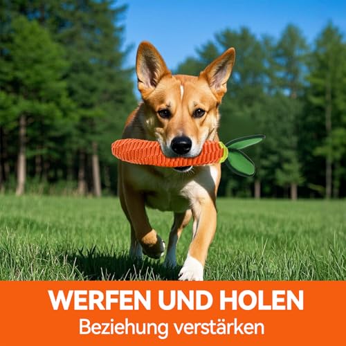 AUSCAT Hundespielzeug Seil, Langlebiges Karotte Hundespielzeug Geflochten mit Quietscher, Tau Spielzeug für Welpen, Karotte