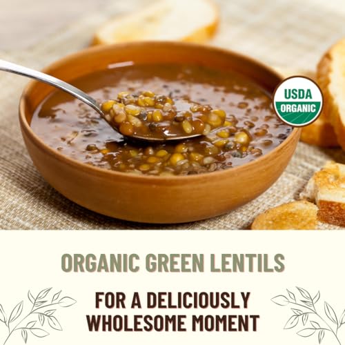 Mountain High Organics Certifed Organic Green Lentils 1/25LB Bag