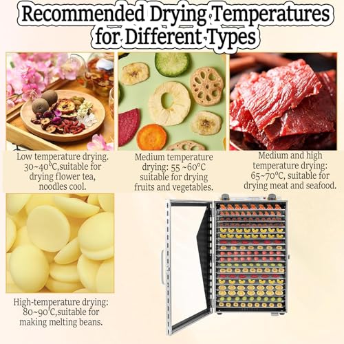 Essiccatore Elettrico per Alimenti, essiccatore per Frutta e Carne in Acciaio Inossidabile con Timer da 12 Ore, Design a 6 Strati per un'essiccazione efficiente di Frutta, Verdura e Carne secca