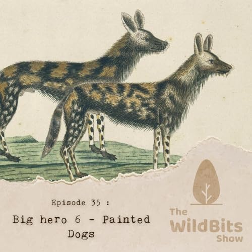 Big hero 6 - Painted Dogs