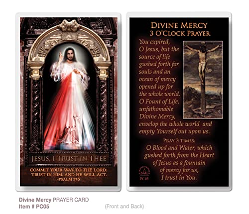 THE SAINTS COLLECTION Divine Mercy (Three O'Clock Prayer) Laminated Prayer