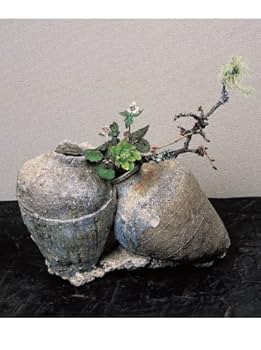 古器に生ける―古美術 柳‐日々の花 (別冊緑青 15) | 川島南智子