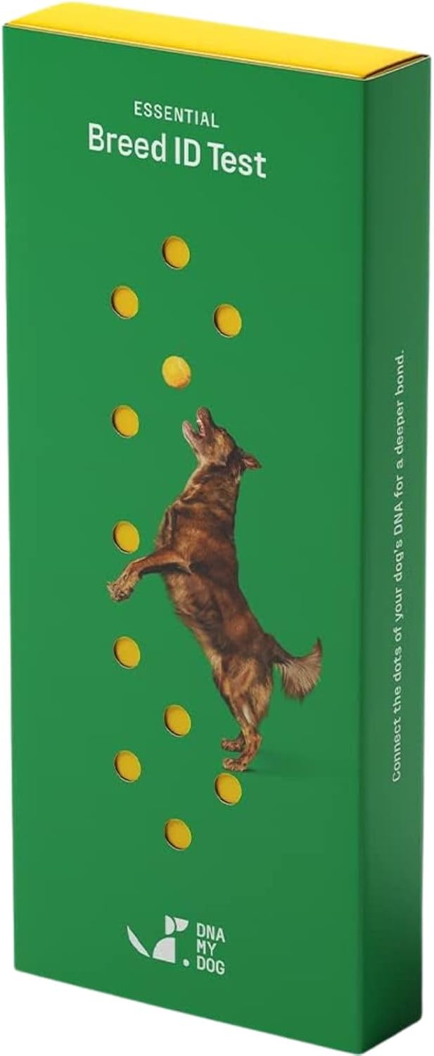 DNA MY DOG – Essential Breed ID Test | Accurate DNA Analysis of 350+ Dog Breeds | Easy-to-Use Kit | Non-Invasive Cheek Swab | Results in 2 Weeks | Includes DNA Certificate