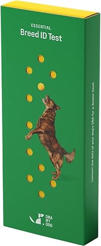 DNA MY Dog, Kit de prueba para identificación de razas caninas. Juego de muestras bucales para tomar en casa. Rasgos de personalidad de DNA My Dog