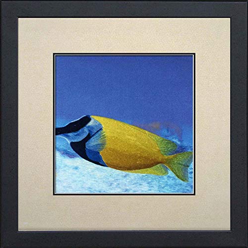 King Silk Art 100% Handmade Embroidery Framed 13 Inch X 13Inch, Goldfish Oriental Wall Hanging Art Asian Decoration Artwork Picture As Thanksgiving Day Gifts 39023Wf #TOP9
