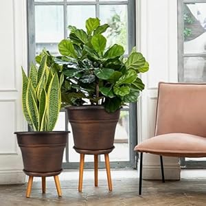 Plantplanterspotssetof4pack9inchplasticflowerpotforindoorplantswithdrainageholestraysresindecorativecontainersetswithsaucerforhouseoutdoorgardenplanterscopper Urban Country Home Decor Plant planters pots set of 4 pack 9 inch plastic flower pot for indoor plants with drainage holes trays resin decorative container sets with saucer for house outdoor garden planters copper urban country home decor