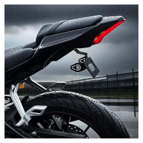 Support Plaque YZF-R125 Queue Arrière Moto Bien Rangée Finition Supérieure - 7