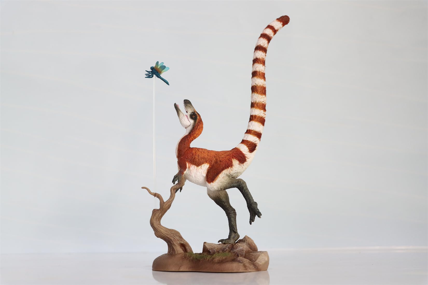 Sinosauropteryx figurine AMITD cadeau collectionneur dinosaure adulte