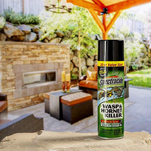 Spectracide Wasp and Hornet Killer Aerosol, 18.5 Ounce, 2-Pack