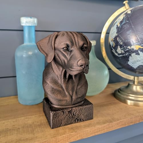 Estatua de Bronce de Perro Pointer Alemán 20 cm miniatura 6