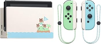 どうぶつの森　Switch本体 Nintendo Switch あつまれ どうぶつの森 本体セット・キャリング
