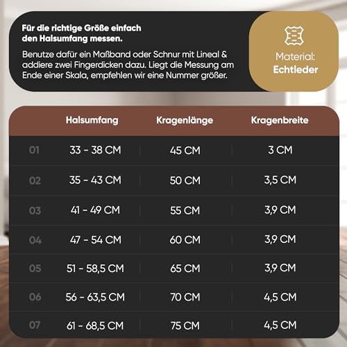 MICHUR Diego Braun 1. Wahl !! Hundehalsband Leder Lederhalsband Hund Halsband Löwenkopf Nieten Messing Optik Braun Gold