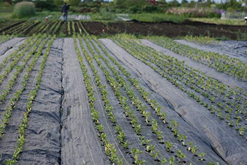 Weed Armor Pro 60, 30 Year Needlepunch Woven Landscape Fabric, Weed Barrier Fabric, Stabilization, Underlayment (3'x100')