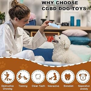 Puppy Toys 6 Pack Dog Chew Toys for Puppy Cute Blue Small Dog Toys Teething Toys for Puppies Soft Durable Interactive Chew Toy for Small Dogs  Cucciolini Doodles Puppy toys 6 pack dog chew toys for puppy cute blue small dog toys teething toys for puppies soft durable interactive chew toy for small dogs   cucciolini doodles