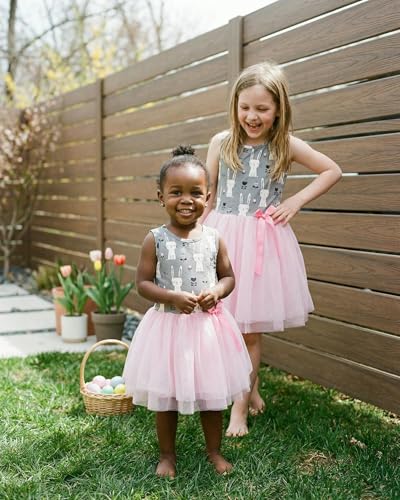Image of Girls Sleeveless Tulle Toddler Tutu Dress for Girls