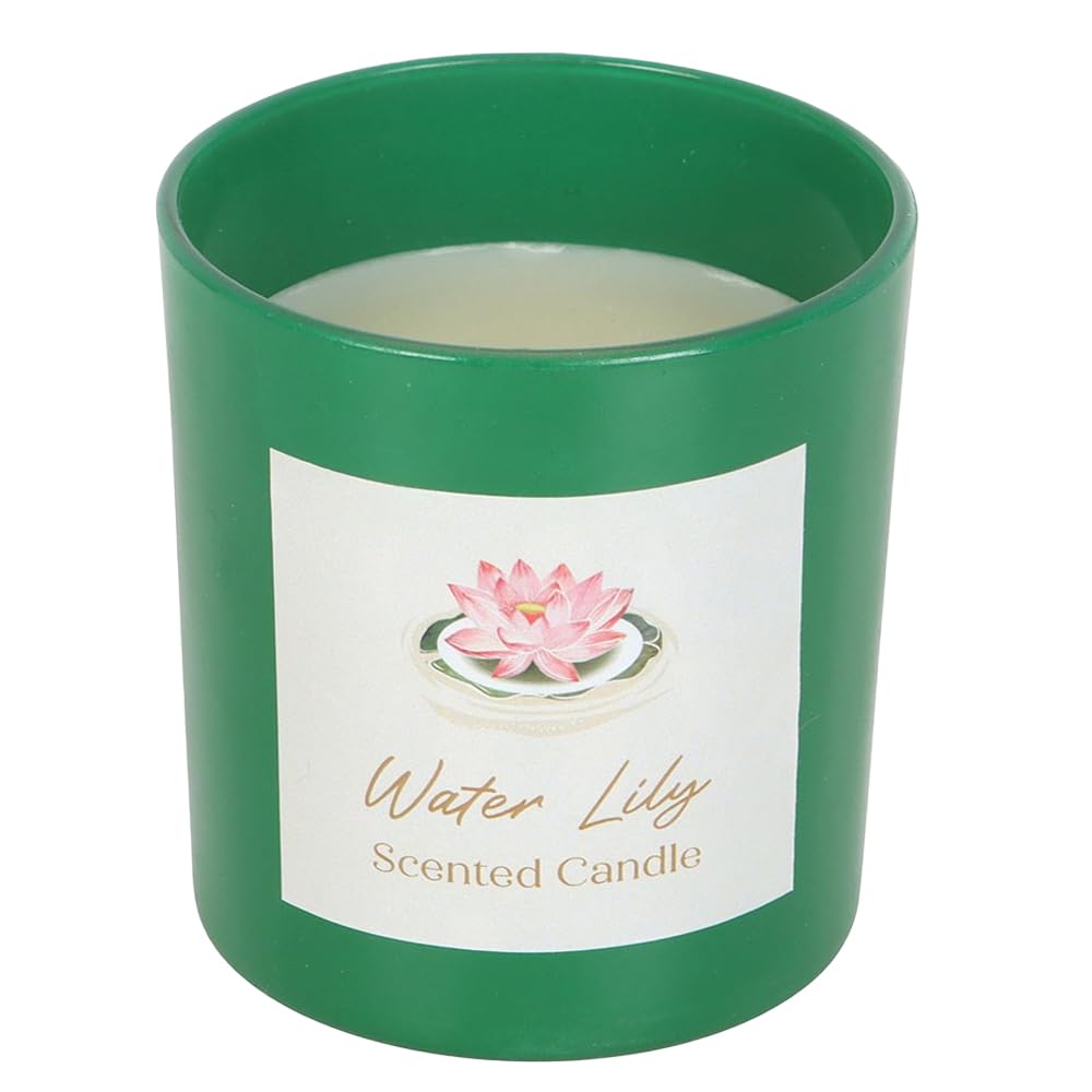 Pond Dipping Boxed Green Glass Jar Waterlily Scented Gift Candle