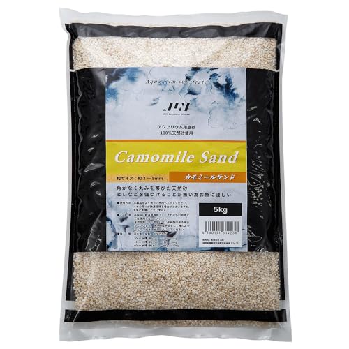 itm J~[Th T  ANAE ꍻ