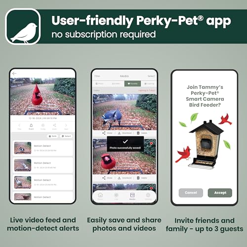 Perky-Pet Solar Powered Smart Bird Feeder with Camera - Squirrel-Resistant, 3.2L Capacity, Motion Activated 1080p HD WiFi Live Stream Camera, SPCAM, SPCAMSLR - Camera Feeder Gift Idea, Forest Green by Perky-Pet - Image 4