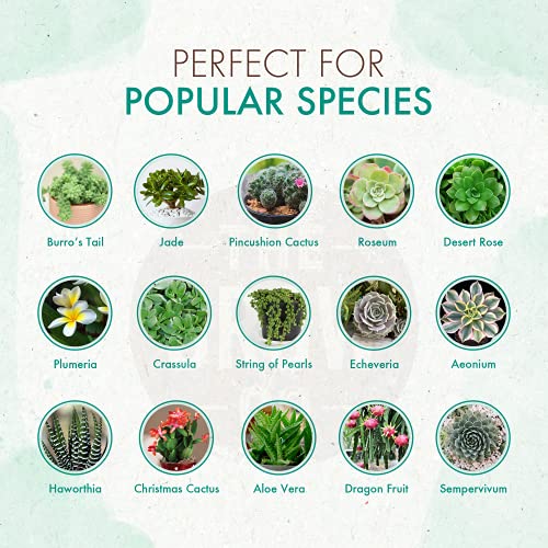 Organic Succulent & Cactus Plant Food - Gentle Liquid Fertilizer Nutrients For Aloe Vera And Other Common Indoor And Outdoor Succulents & Cacti (8 Oz) #TOP2
