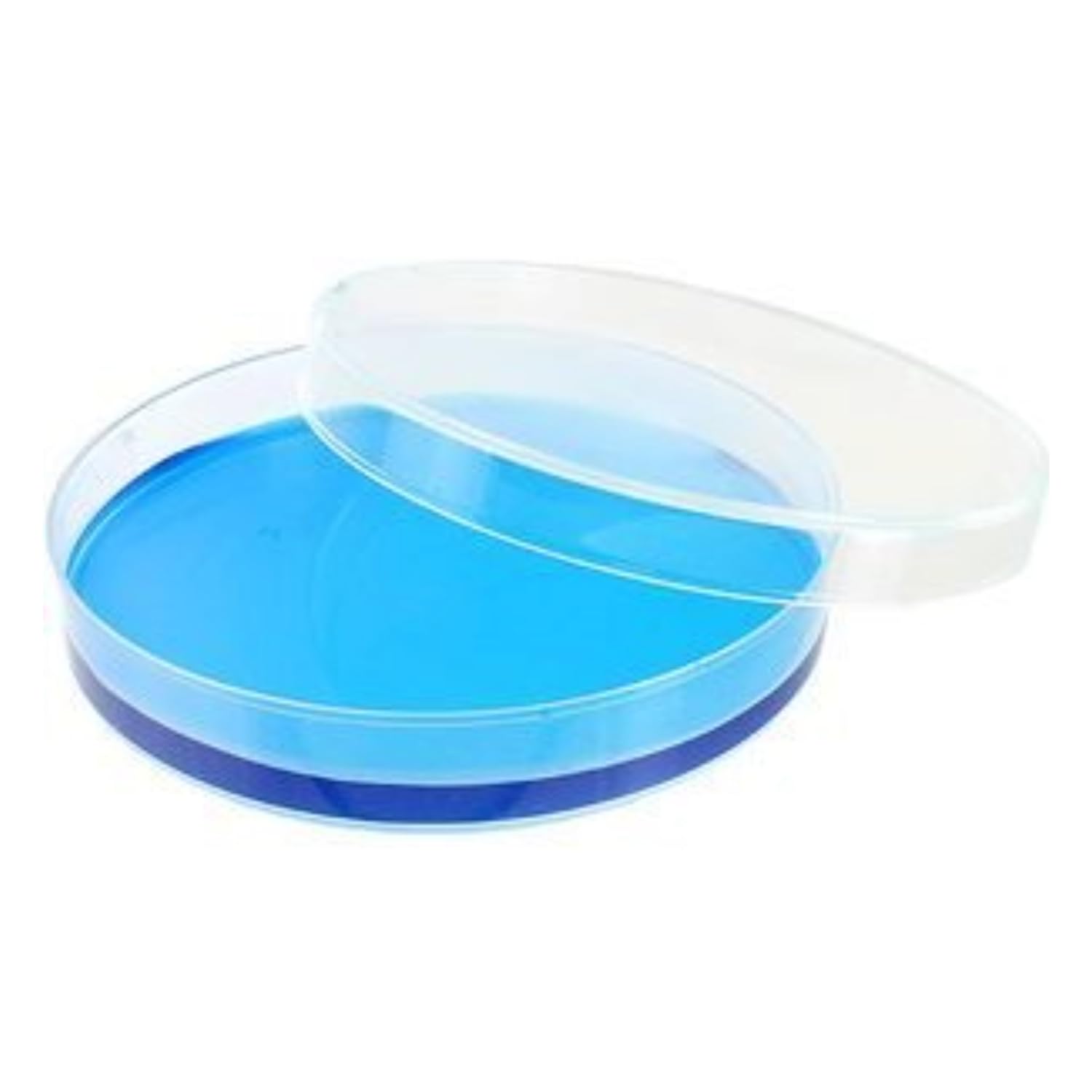 See full amazon price history chart for LABART Polypropylene (Polylab) Autoclavable Petri Dish (50 mm) - Pack of 36 Pieces LABART Polypropylene (Polylab) Autoclavable Petri Dish (50 mm) - Pack of 36 Pieces (B0CPJF1CVC) Amazon Price History, Amazon Price Tracker