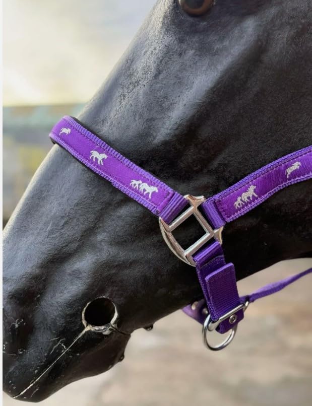Horse Headcollar and Lead Rope Set, Pink with Horse Print Pattern, Padded Nubuck (Purple, Mini Shetland) - Image 2