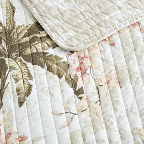 Tommy Bahama - Quilt Set, Reversible Cotton Bedding With Matching Shams, Lightweight Home Decor For All Seasons (Bonny Cove Ivory, King) #TOP3