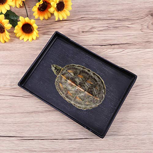 WANGPING Reptile Bowl - Grote Reptile Schildpad Voedsel- en Watervoerschotel Badkom - Huisdierbenodigdheden - Maat M… - Afbeelding 6