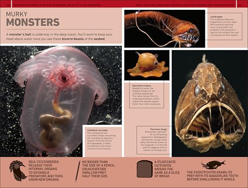 1,000 Amazing Weird Facts (DK 1,000 Amazing Facts) - Image 6