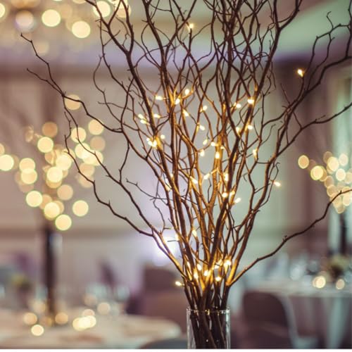 16 Natural Curly Willow Branch Tips - Great for...