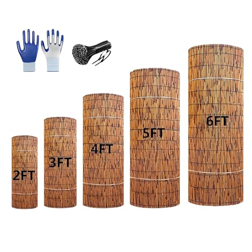 Schilfmatten Sichtschutz Zaun Sichtschutzmatte Bambussi Wetterfest 30cm 50cm 60cm 80cm 100cm 120cm 150cm 160cm 180cm Hohe Für Balkon, Terrasse, Garten, Windschutz, Sonnenschutz(braune) Schilfmatten Sichtschutz Zaun Sichtschutzmatte Bambussi Wetterfest 30cm 50cm 60cm 80cm 100cm 120cm 150cm 160cm 180cm Hohe Für Balkon, Terrasse, Garten, Windschutz, Sonnenschutz(braune)