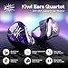 Linsoul Kiwi Ears Quartet 2DD+2BA Hybrid In-Ear Monitor, HiFi Earphones with Hand-crafted Resin Shell, Detachable OFC Silver-plated IEM Cable for Audiophile Musician DJ Studio Gaming (Purple, Quartet)