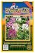 Everwilde Farms - 500 Spider Plant Wildflower Seeds - Gold Vault Jumbo Seed Packet