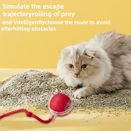 Xinshijie Speedy Tail 2.0 Interactive Dog Ball, Ive Cat Toy for Indoor Cats Kitten, Interactive Cat Toy, Active Rolling Ball With Tail for Dogs (Red) - Image 4