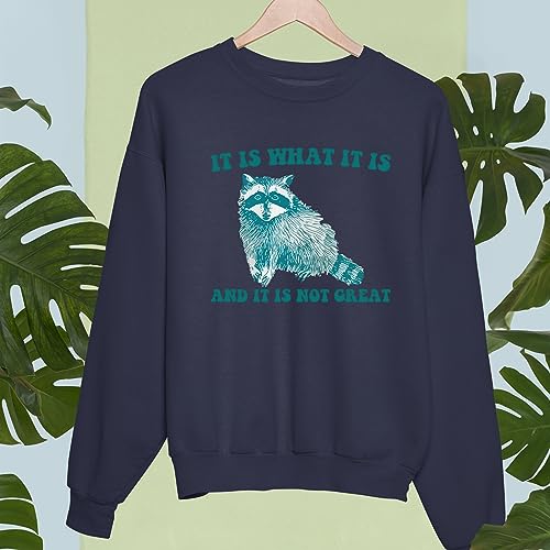 It Is What It Is And It Is Not Great - Vintage Drawing Sweatshirt, Raccoon Meme Sweatshirt, Funny Trash Panda Sweatshirt, Unisex Sweatshirt4