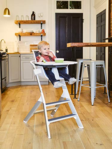4moms high chair Magnetic Feeding Utensil Set | Spoon, Fork, Bowls and Plate for Baby, Infant, and Toddler | from The Makers of The mamaRoo