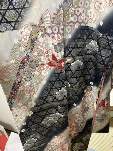 Furisode Coming-of-Age Ceremony Kimono Kimono Kimono