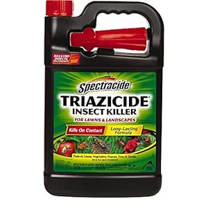 Spectracide Insect Killer, 1 gallon